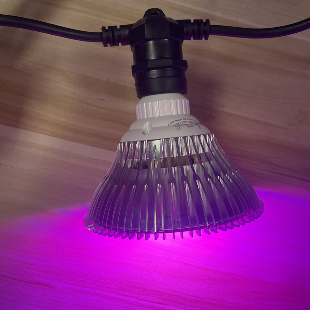 10M Cable LED String Commercia - Outdoor Lighting Manufacturers incelemesi ve fiyatı