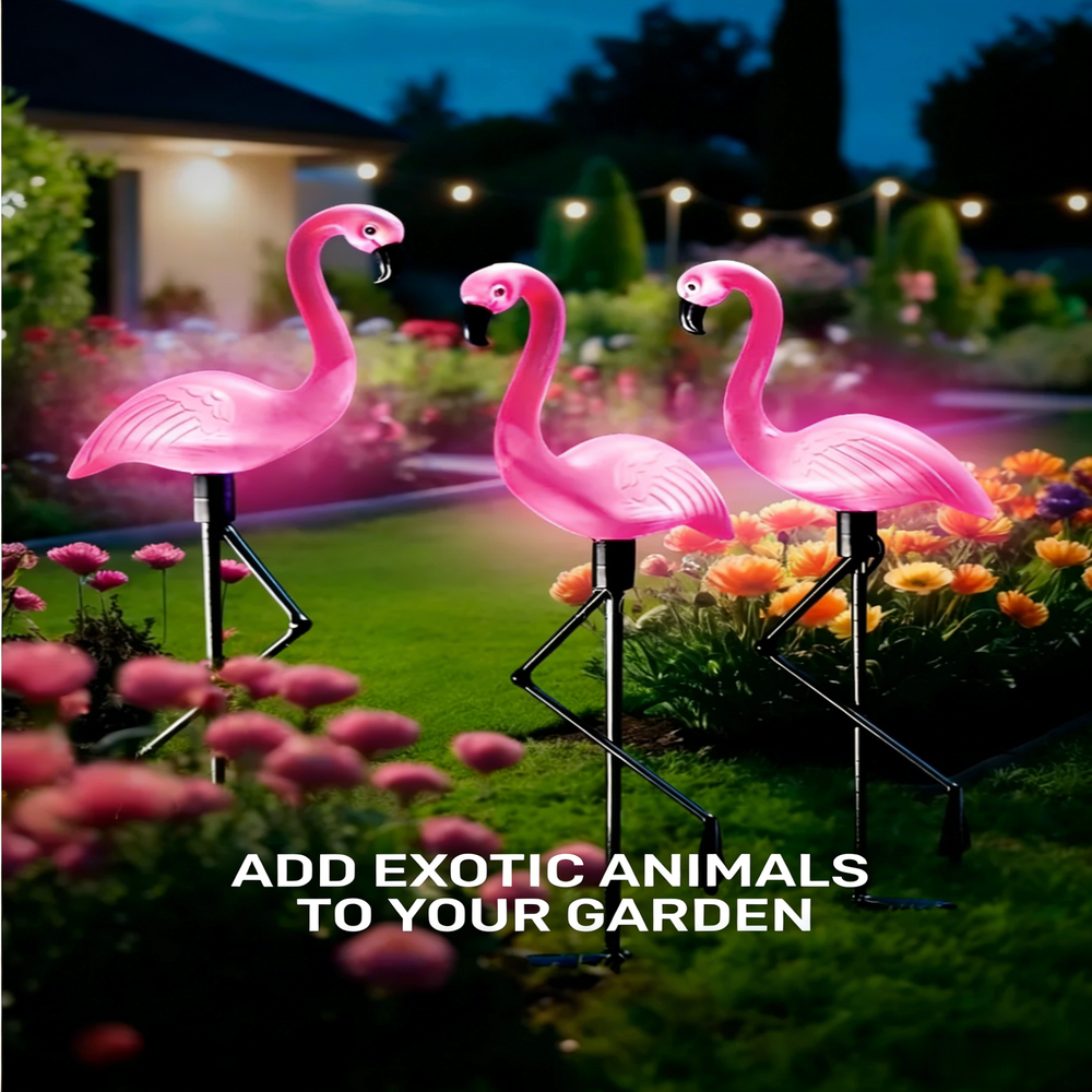 3Pcs Solar Powered Flamingo Gr - Outdoor Lighting Manufacturers incelemesi ve fiyatı
